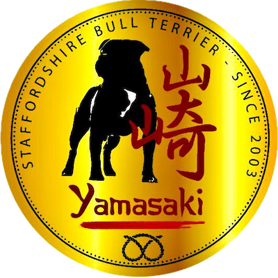 Yamasaki Staffordshire Bull Terrier