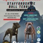 Exposição Especializada RJ 2024 Staffordshire Bull Terrier Brasil