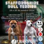 Exposição Especializada Staffordshire Bull Terrier 2024